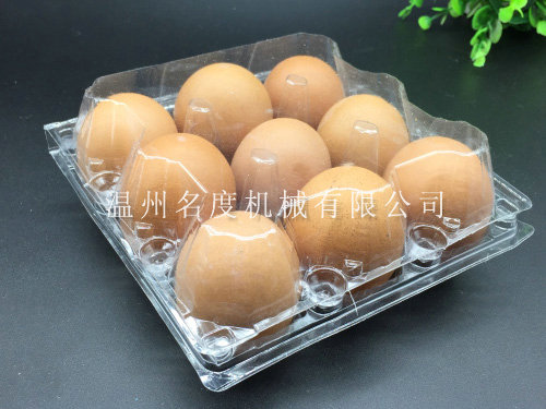 Plastic egg tray